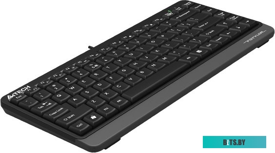 Клавиатура A4Tech Fstyler FKS11 (черный/серый)