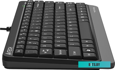 Клавиатура A4Tech Fstyler FKS11 (черный/серый)