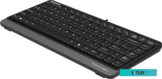 Клавиатура A4Tech Fstyler FKS11 (черный/серый)