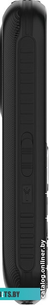 Мобильный телефон Maxvi B5ds (черный)