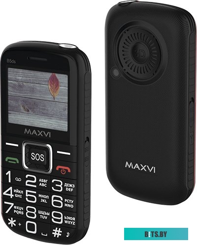 Мобильный телефон Maxvi B5ds (черный)