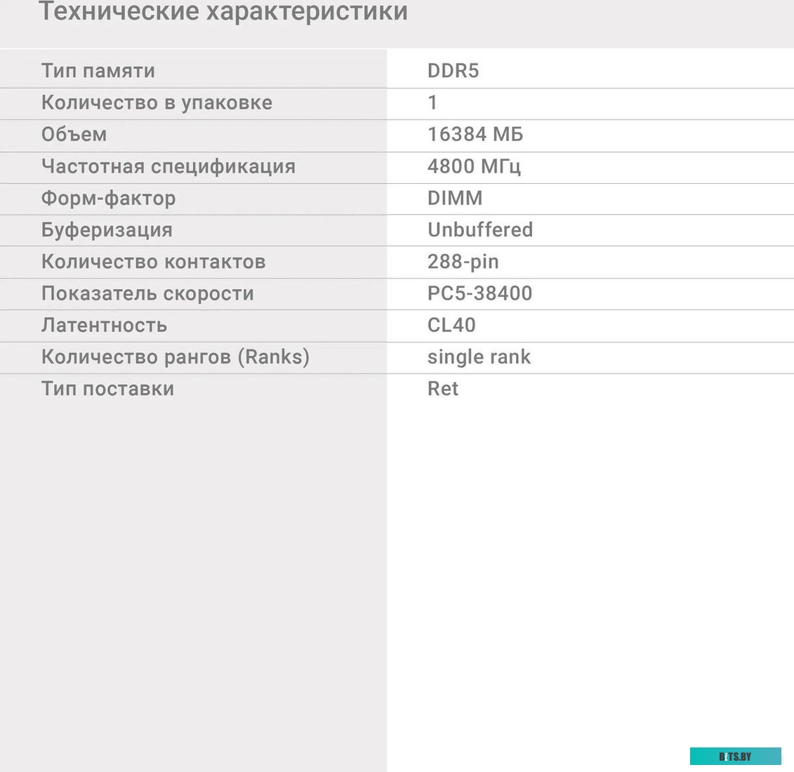 Оперативная память Digma DDR5 16Gb 4800MHz PC5-38400 DGMAD54800016S