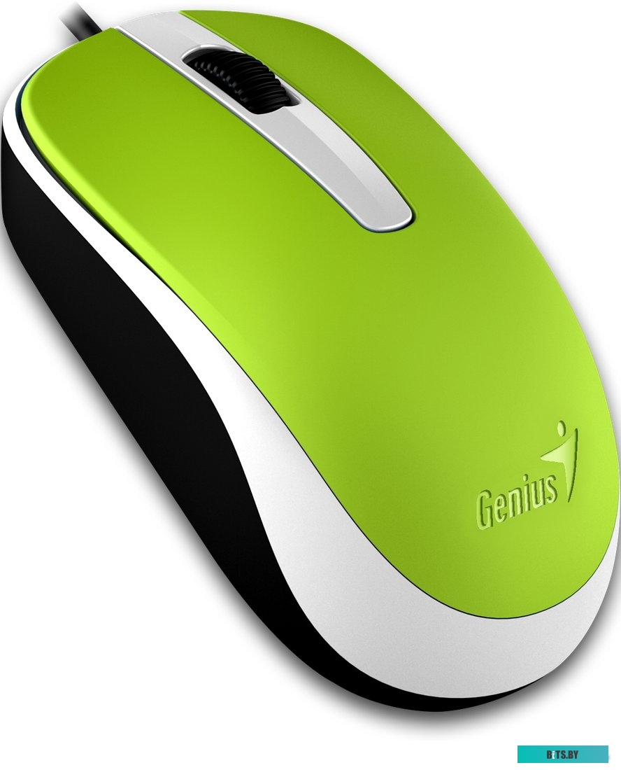 Мышь Genius DX-120 (зеленый)