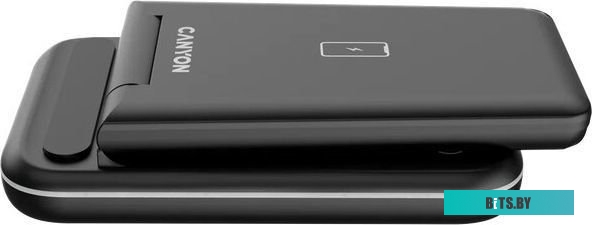 Беспроводное зарядное устройство CANYON WS-304 (CNS-WCS304B)