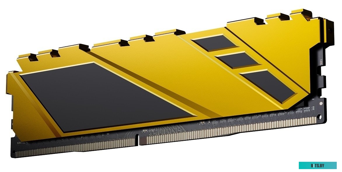 Оперативная память Netac Shadow 8ГБ DDR4 2666 МГц NTSDD4P26SP-08Y
