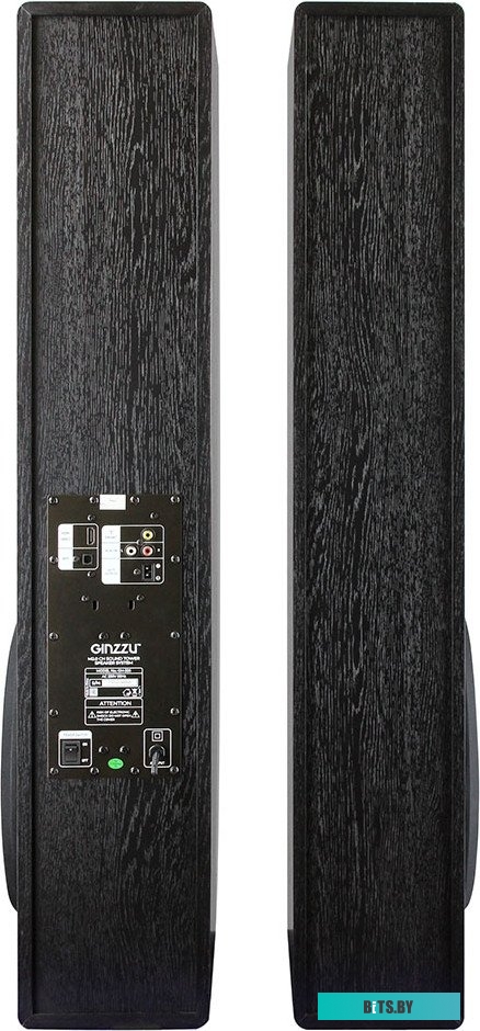 Акустическая система Ginzzu GM-326