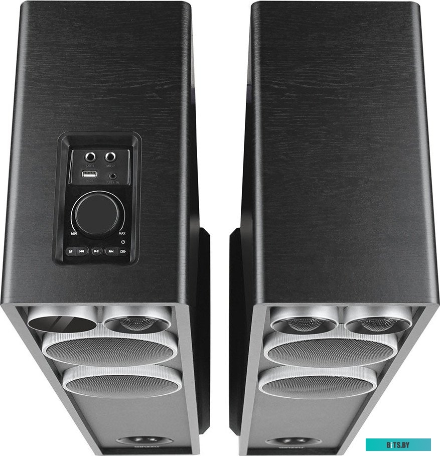 Акустическая система Ginzzu GM-326