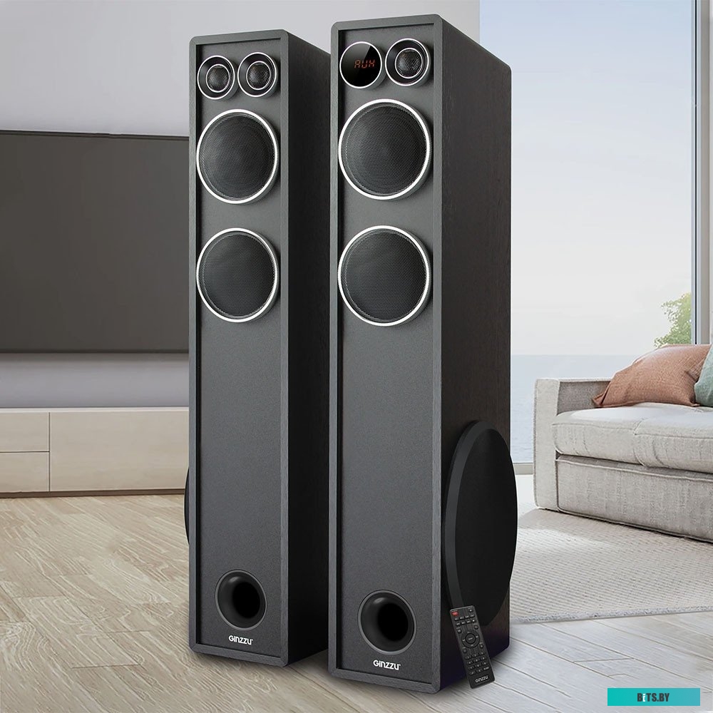 Акустическая система Ginzzu GM-326