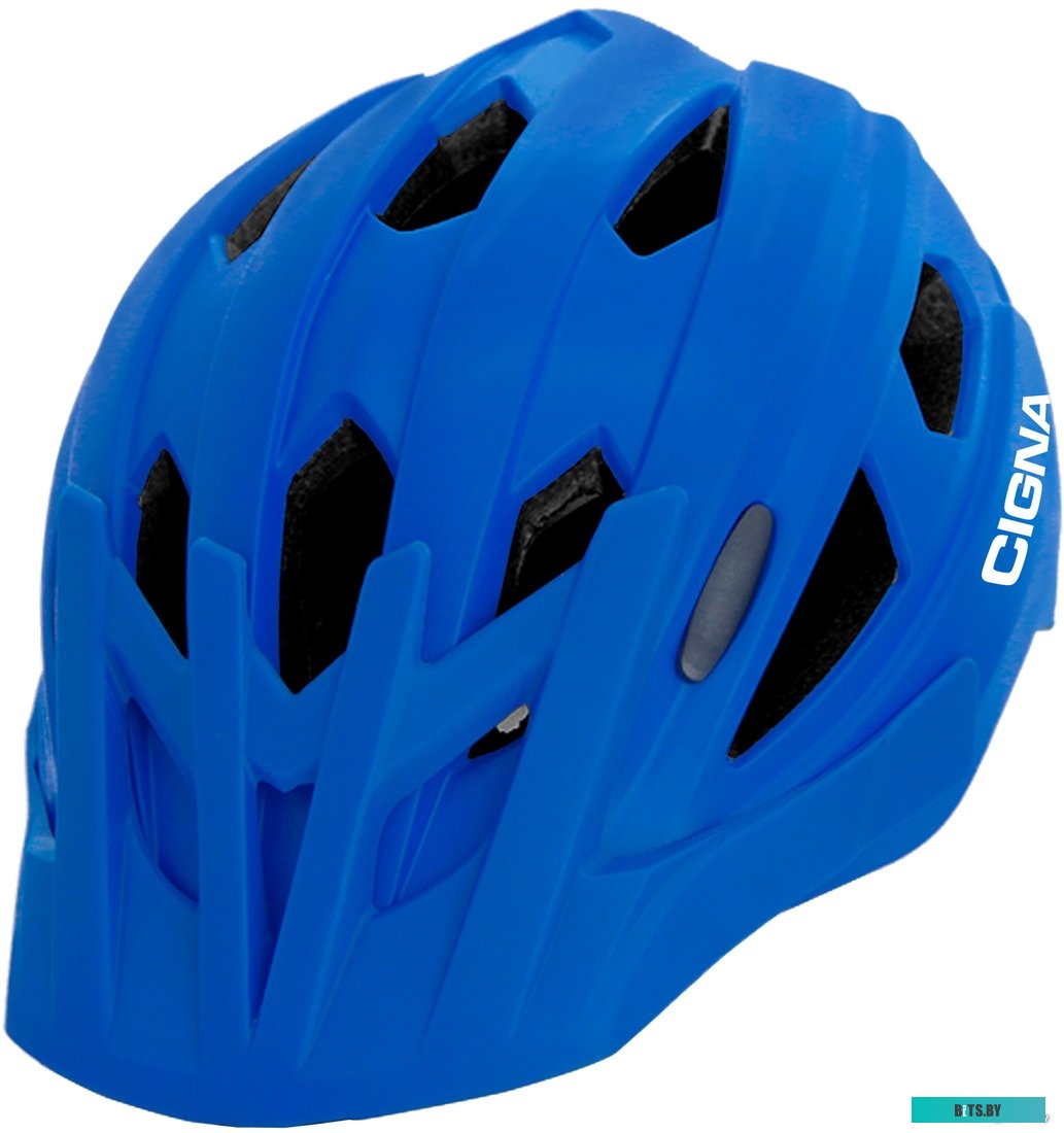 72/9/2 Лобзик ВИХРЬ ЛЭ-100 [72/9/2]