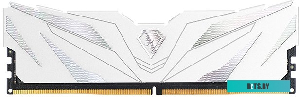 Оперативная память Netac Shadow II White 16ГБ DDR5 4800 МГц NTSWD5P48SP-16W