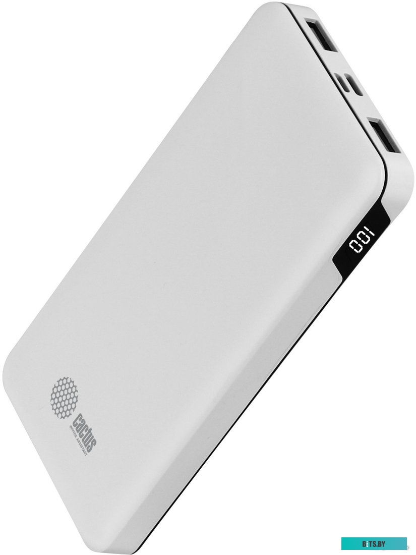Портативное зарядное устройство Cactus CS-PBFSKT-10000 (белый)