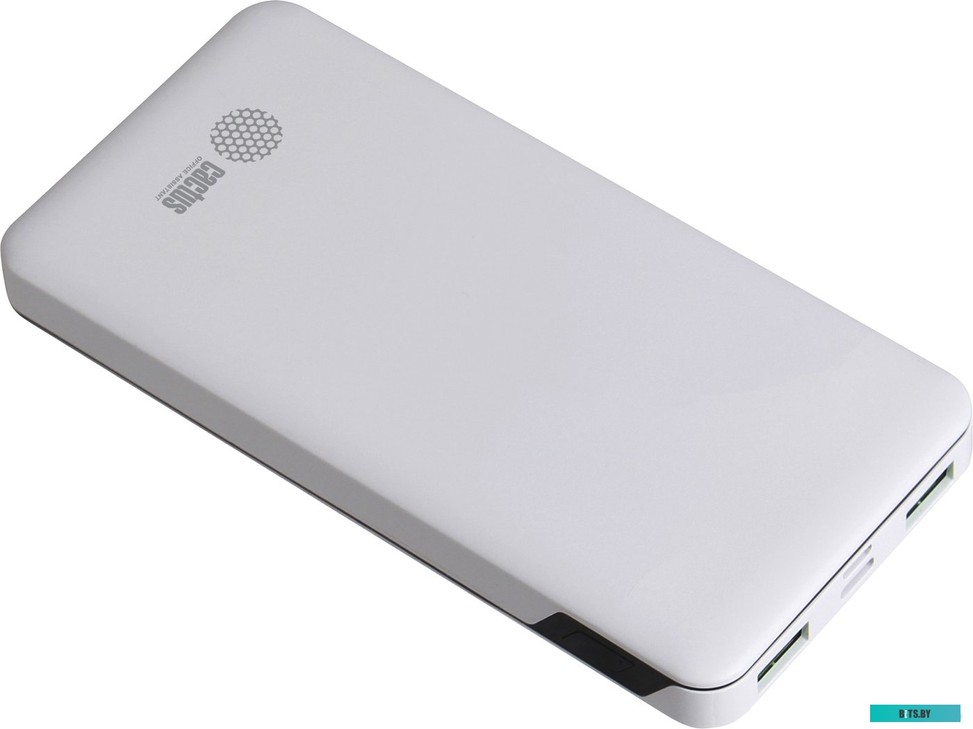 Портативное зарядное устройство Cactus CS-PBFSKT-10000 (белый)