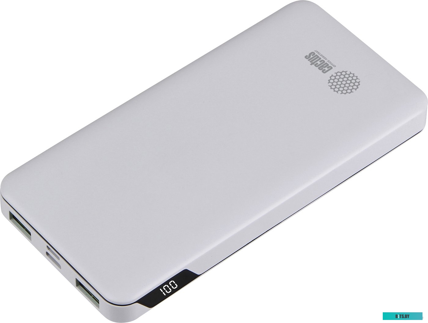 Портативное зарядное устройство Cactus CS-PBFSKT-10000 (белый)