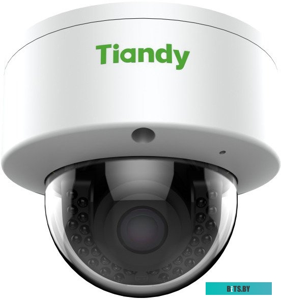 IP камера TIANDY TC-NC24M