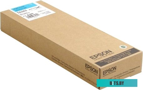 Картридж Epson C13T636500
