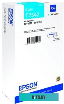 Картридж-чернильница (ПЗК) Epson C13T754240