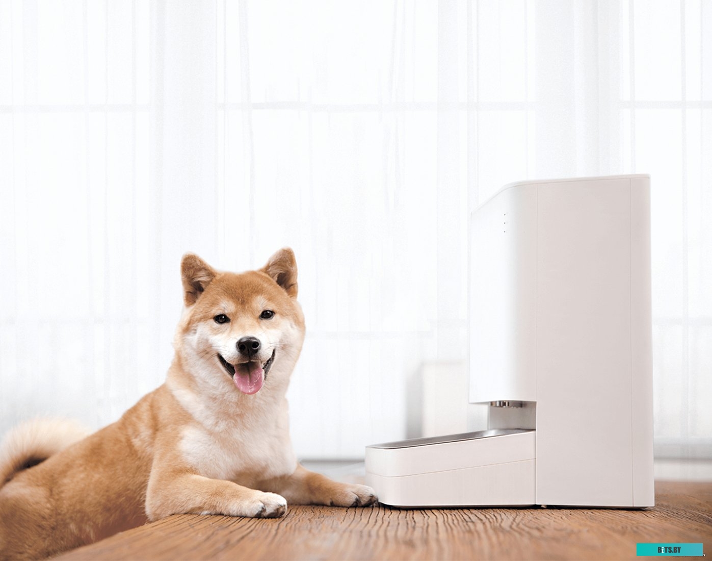 BHR6143EU Умная автоматическая кормушка Xiaomi Smart Pet Food Feeder Xiaomi Smart Pet Food Feeder