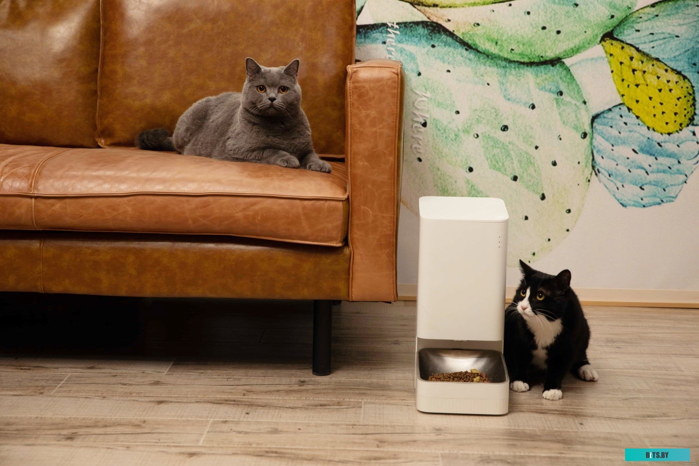 BHR6143EU Умная автоматическая кормушка Xiaomi Smart Pet Food Feeder Xiaomi Smart Pet Food Feeder