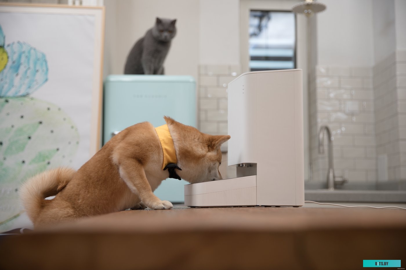 BHR6143EU Умная автоматическая кормушка Xiaomi Smart Pet Food Feeder Xiaomi Smart Pet Food Feeder