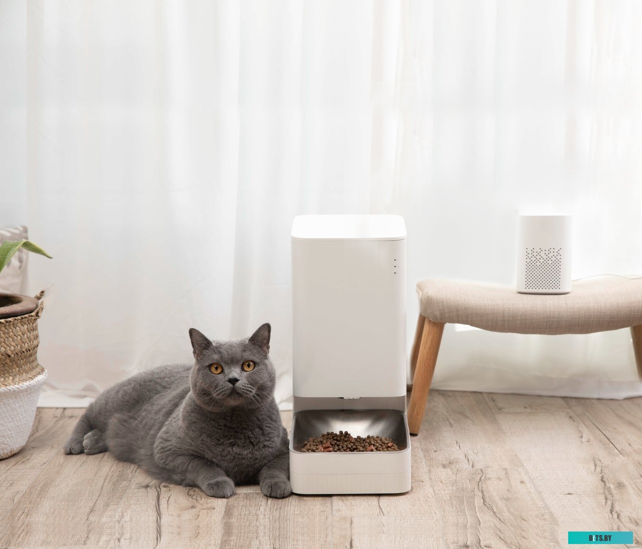 BHR6143EU Умная автоматическая кормушка Xiaomi Smart Pet Food Feeder Xiaomi Smart Pet Food Feeder