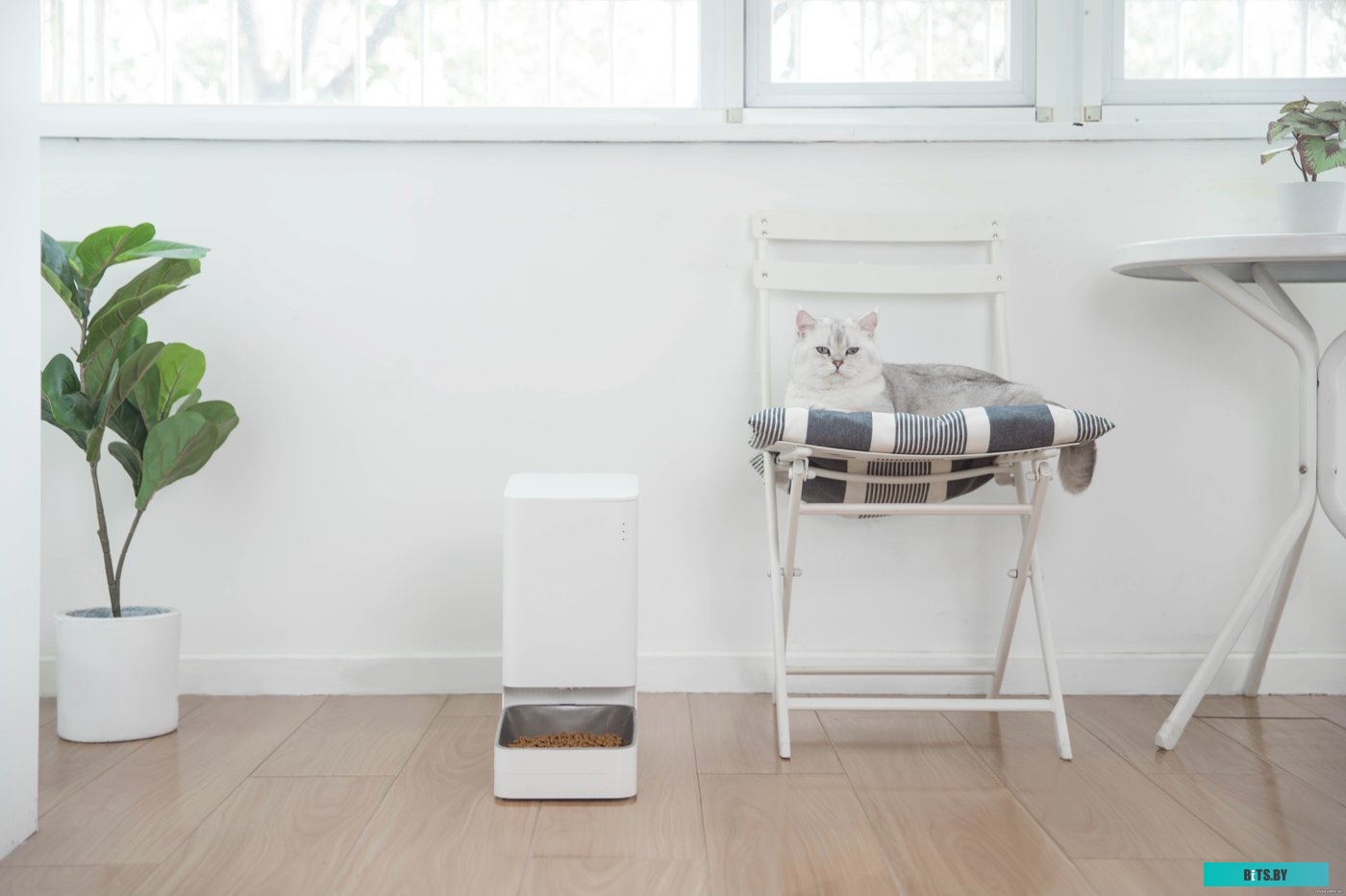 BHR6143EU Умная автоматическая кормушка Xiaomi Smart Pet Food Feeder Xiaomi Smart Pet Food Feeder