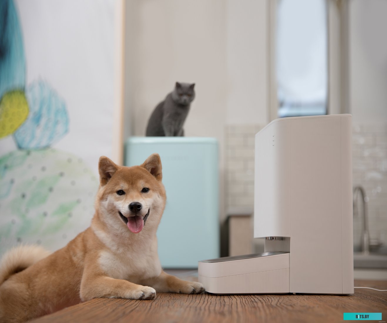 BHR6143EU Умная автоматическая кормушка Xiaomi Smart Pet Food Feeder Xiaomi Smart Pet Food Feeder
