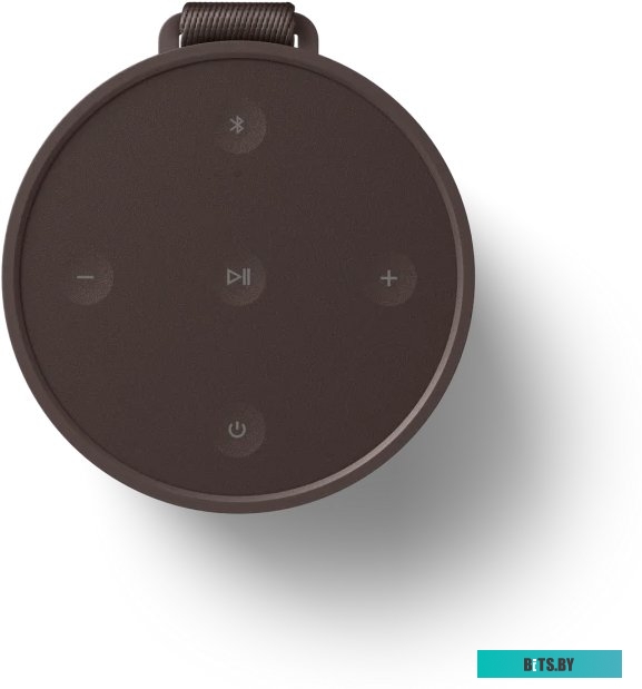 Bang & Olufsen Beosound Explore (коричневый)