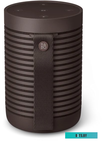 Bang & Olufsen Beosound Explore (коричневый)