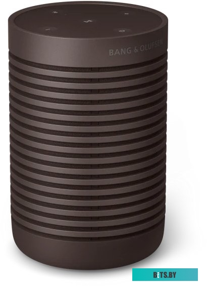 Bang & Olufsen Beosound Explore (коричневый)