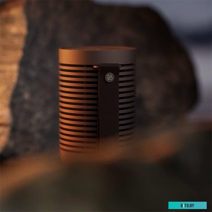 Bang & Olufsen Beosound Explore (коричневый)