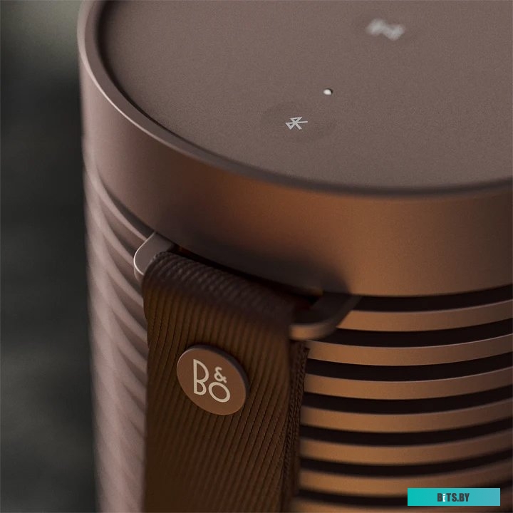 Bang & Olufsen Beosound Explore (коричневый)