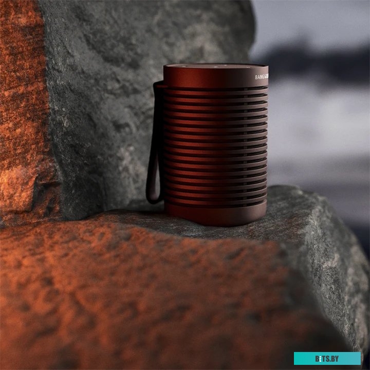 Bang & Olufsen Beosound Explore (коричневый)