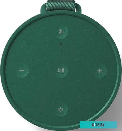 Bang & Olufsen Beosound Explore (зеленый)