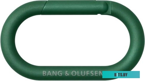 Bang & Olufsen Beosound Explore (зеленый)