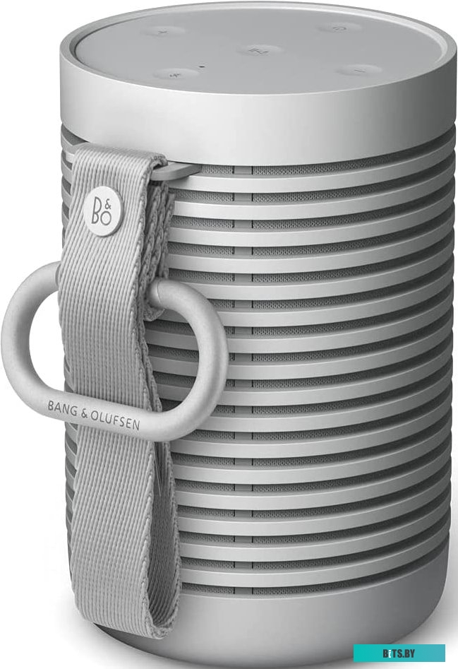 Bang & Olufsen Beosound Explore (серый)
