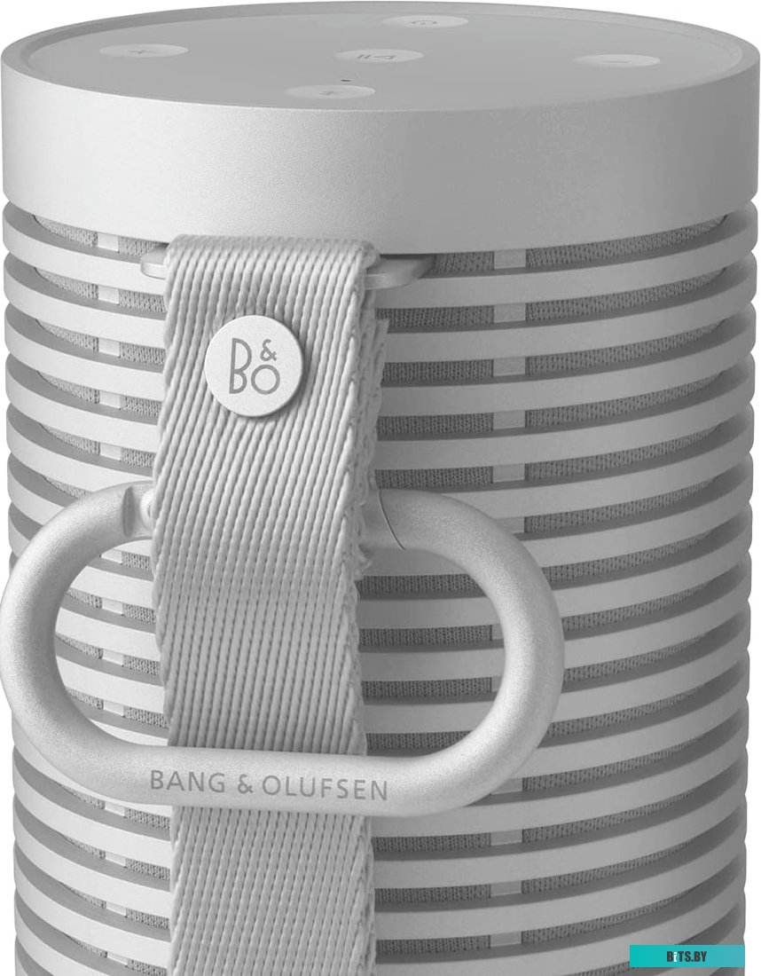 Bang & Olufsen Beosound Explore (серый)
