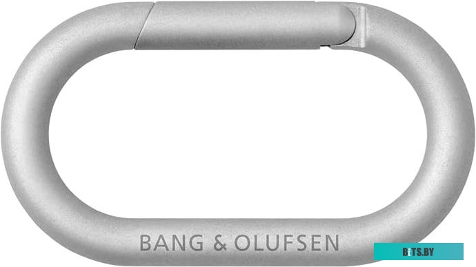 Bang & Olufsen Beosound Explore (серый)