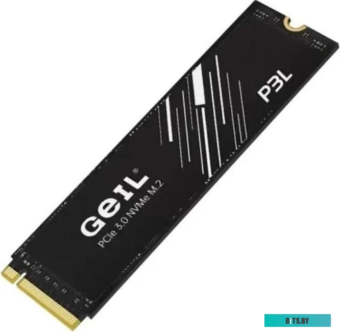 SSD GEIL P3L P3LFD16I256G