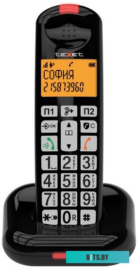 Радиотелефон TeXet TX-D7855A (черный)