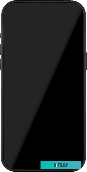 uBear Capital Leather для iPhone 15 Pro Max (черный)