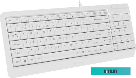 Клавиатура A4Tech Fstyler FK15 (белый)