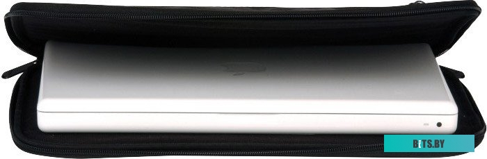 Сумка (портфель, кейс, чехол) для ноутбука T'nB HOUSSE NETBOOK 10.2" S-TRIP (SLSTRIP10)