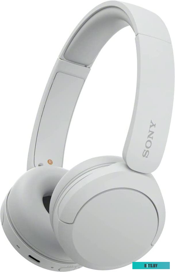 Наушники Sony WH-CH520 (белый)