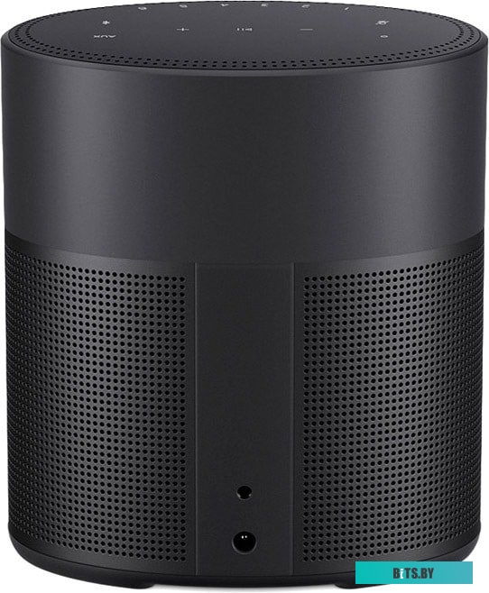 Bose Home Speaker 300 (черный)