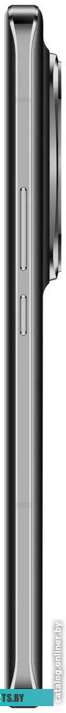 Honor Magic6 Pro 12GB/512GB международная версия (графитовый черный)