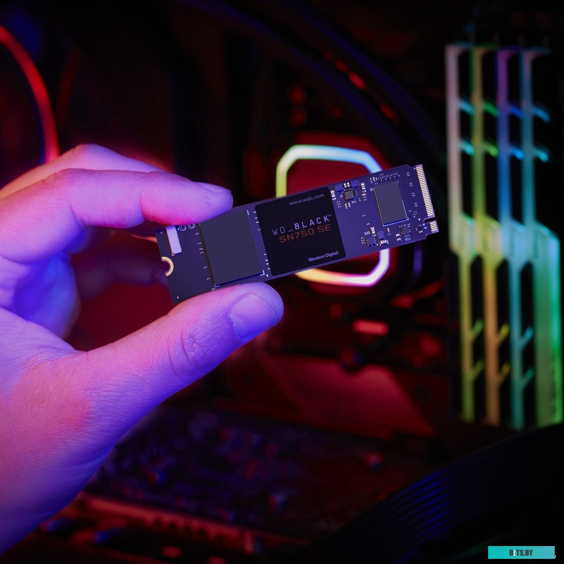 SSD Накопитель WD Black SN750 SE 1TB WDS100T1B0E