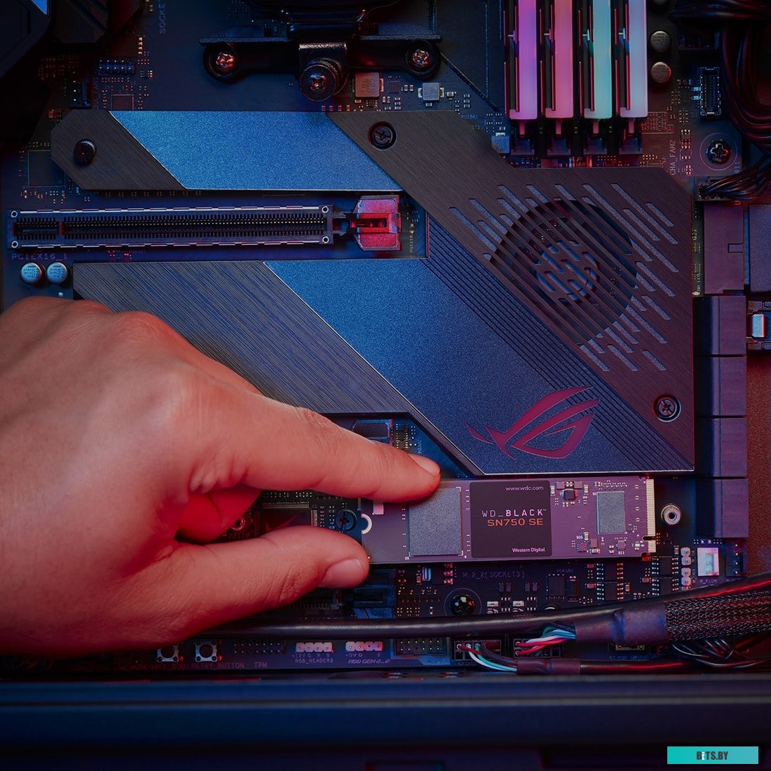 SSD Накопитель WD Black SN750 SE 1TB WDS100T1B0E
