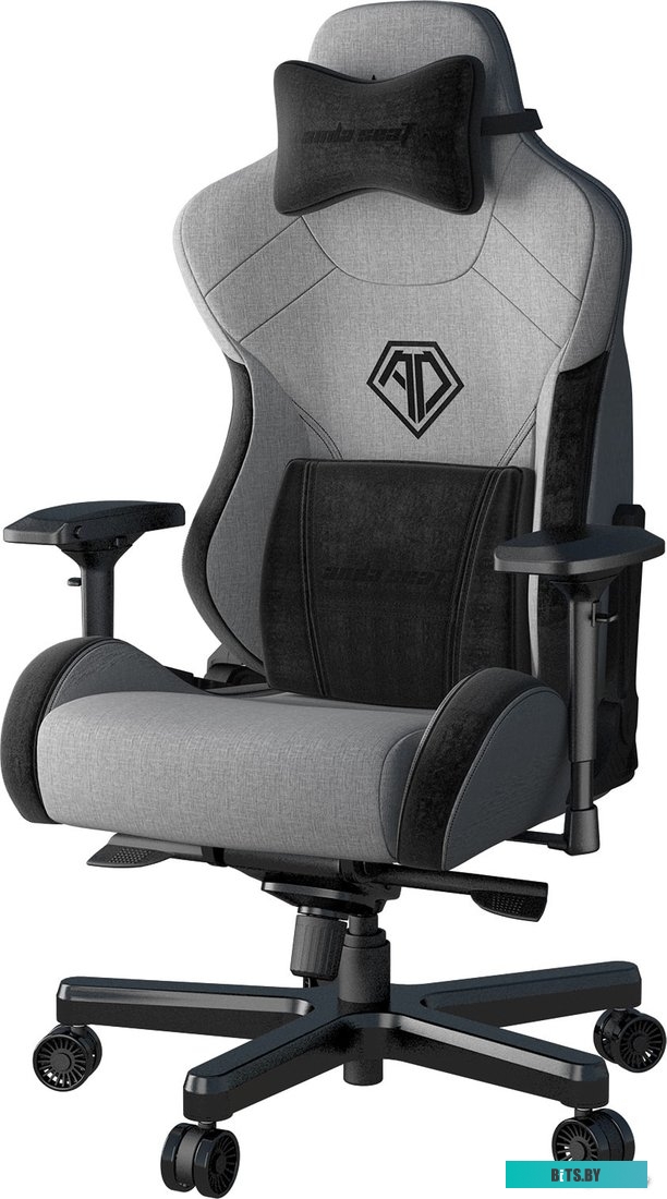 Кресло AndaSeat T-Pro 2 (серый/черный) <AD12XLLA-01-GB-F>