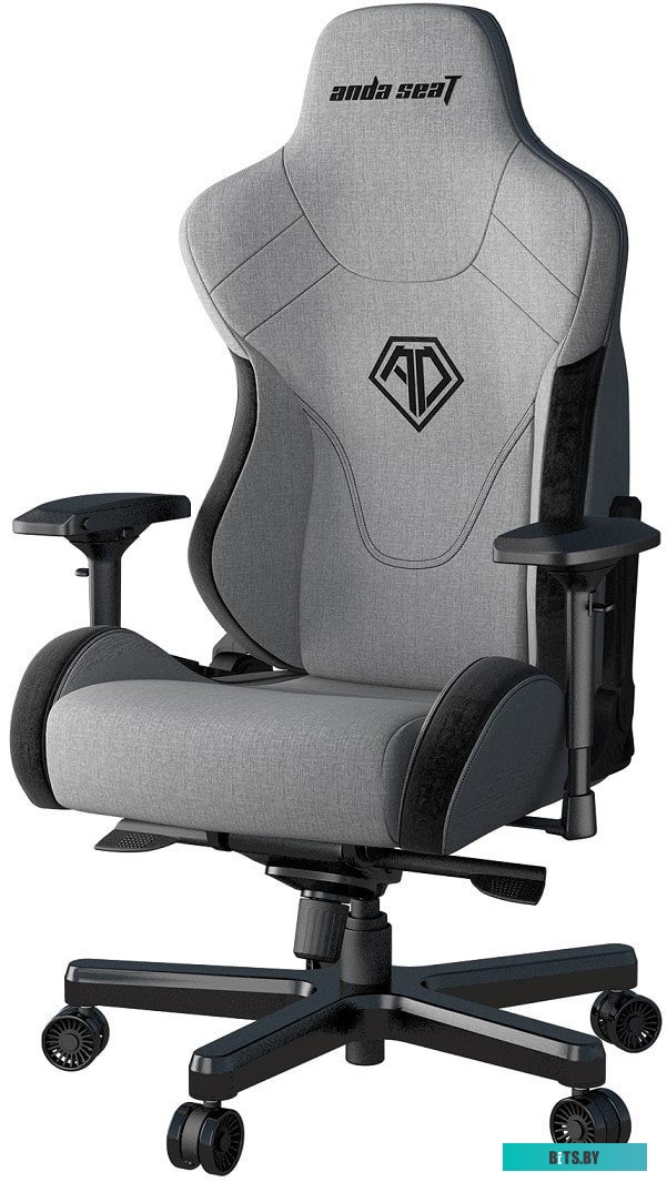 Кресло AndaSeat T-Pro 2 (серый/черный) <AD12XLLA-01-GB-F>