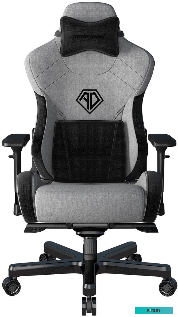 Кресло AndaSeat T-Pro 2 (серый/черный) <AD12XLLA-01-GB-F>